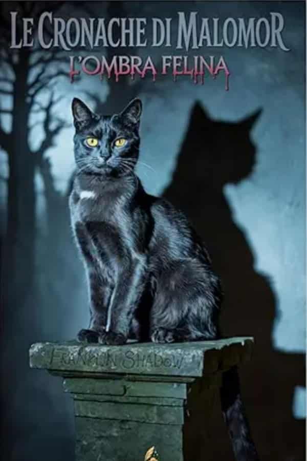 Le cronache di Malomor - L'ombra felina